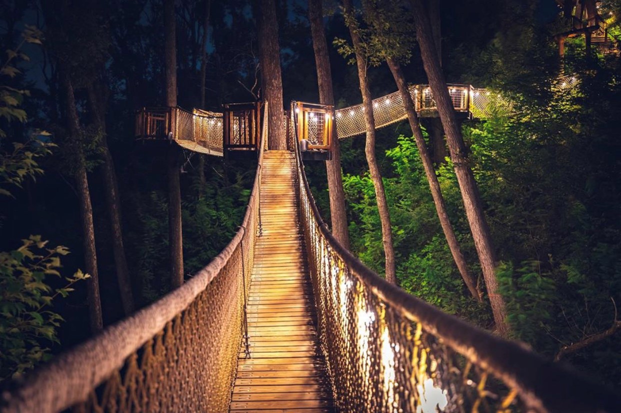 Anakeesta_Treetop_Skywalk_at_Night_2.jpg