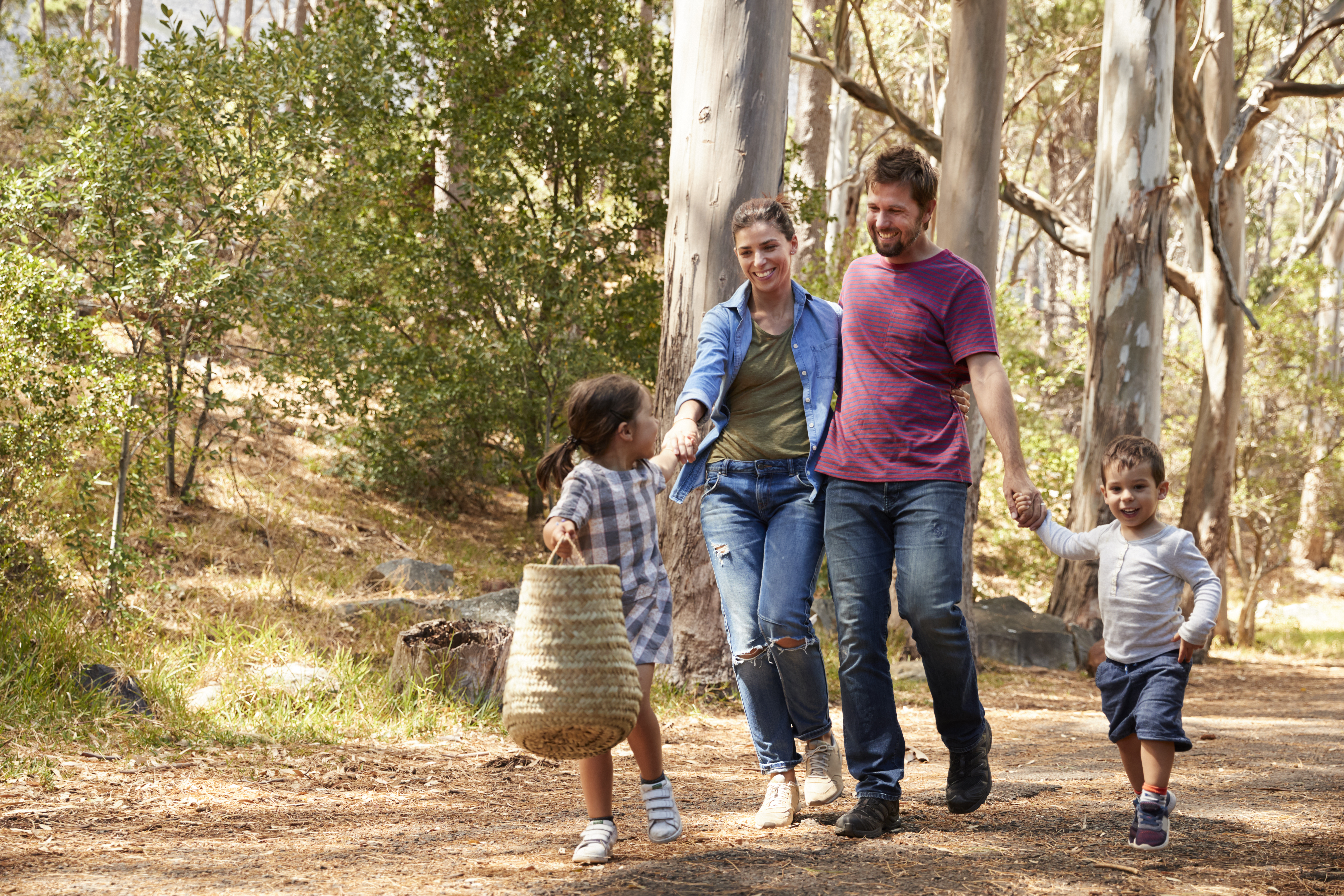 family-walking-along-path-through-forest-together-2026-03-10-04-02-45-utc.jpg