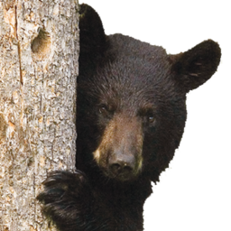 Heartland Cabin Rentals