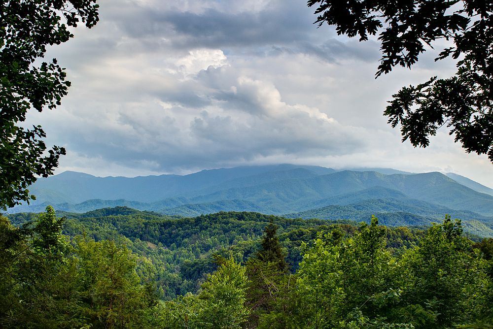 view.jpg