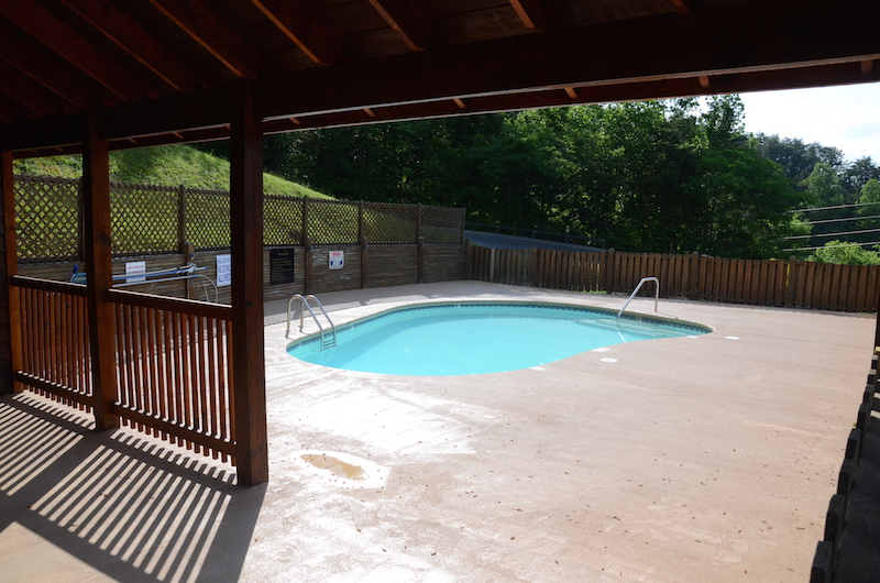 License to Chill Swimming Pool.jpg