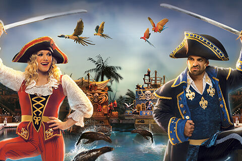 PiratesVoyageDinnerAndShow480x320-1.jpg